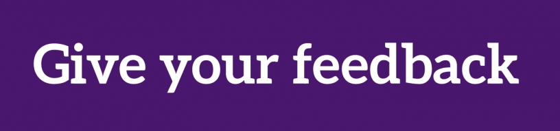 feedback rectangle purple (3)